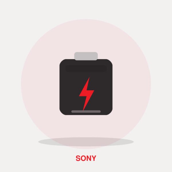 Sony NP-FZ100 Rechargeable Battery