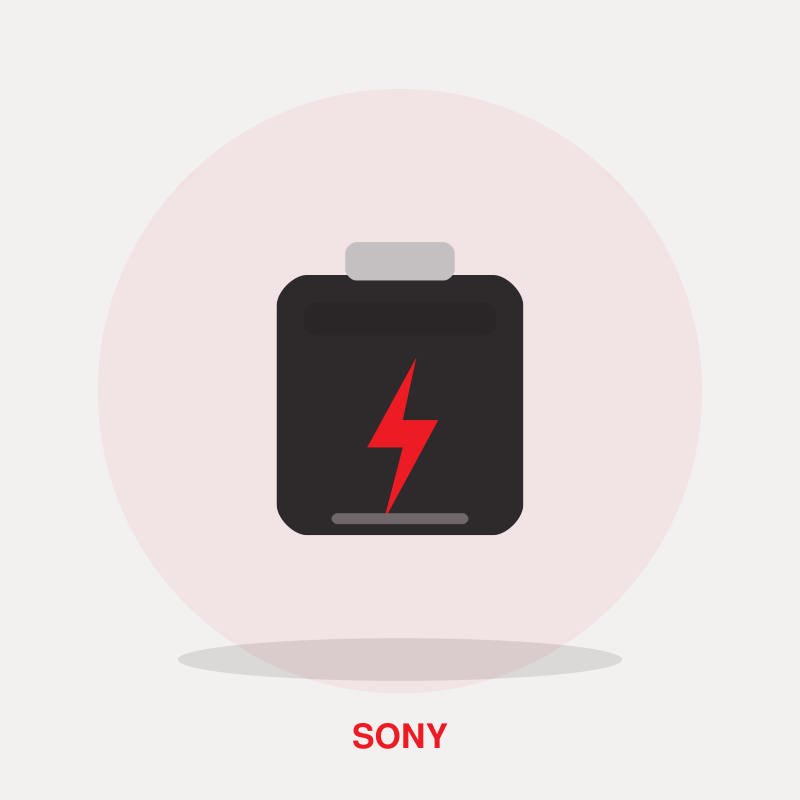 Sony NP-FZ100 Rechargeable Battery