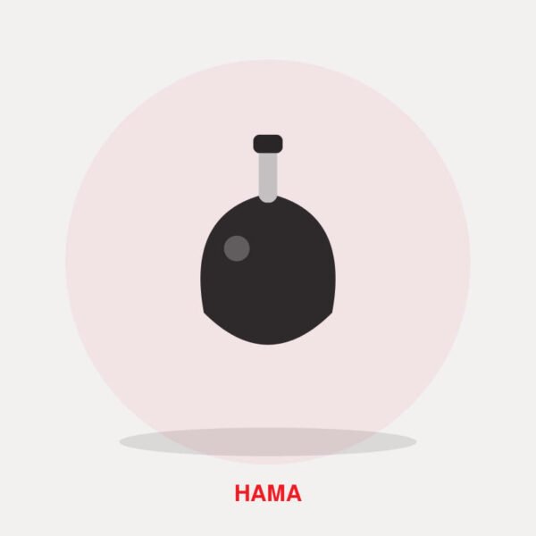 Hama Electronic Dry Cabinet 50L