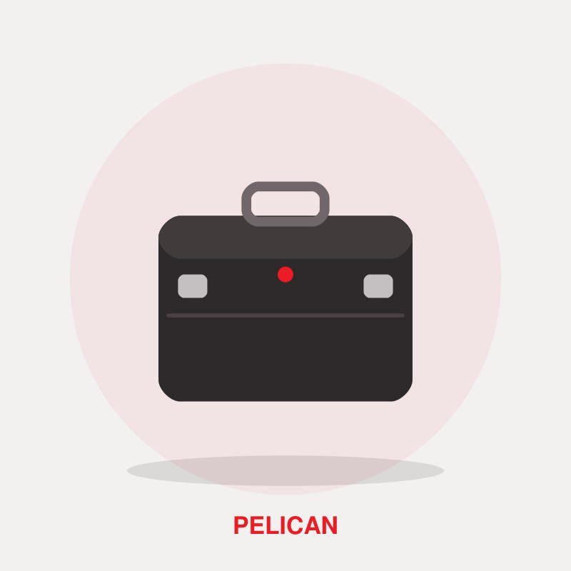Pelican 1510 Protector Carry-On Case