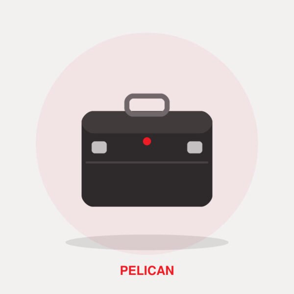 Pelican 1450 Protector Case with Foam