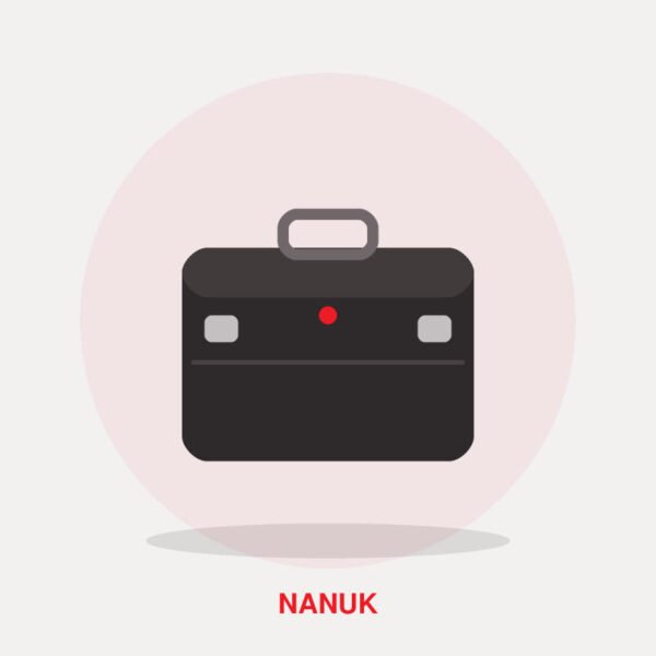 Nanuk 910 Waterproof Hard Case