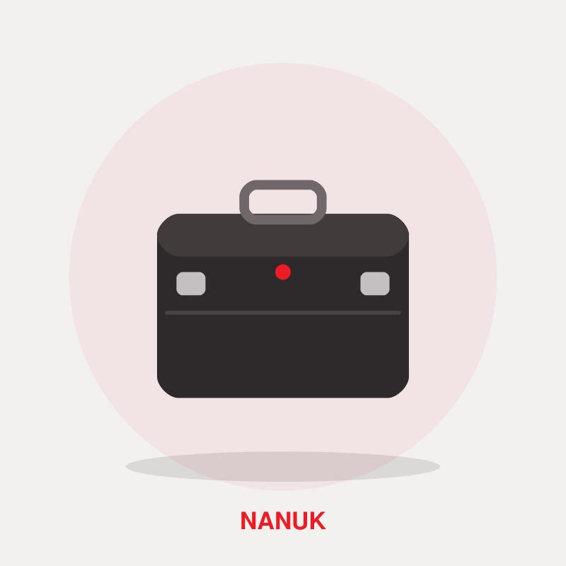 Nanuk 910 Waterproof Hard Case