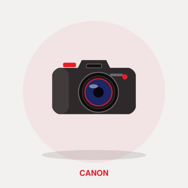Canon EOS R6 Mark II with RF 24-105mm f/4-7.1 IS STM Lens Kit