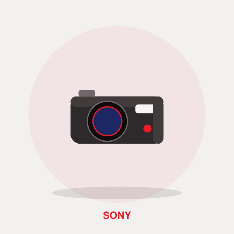 Sony Cyber-shot RX10 IV Bridge Camera