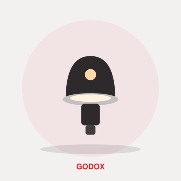 Godox MS300 Studio Flash Head