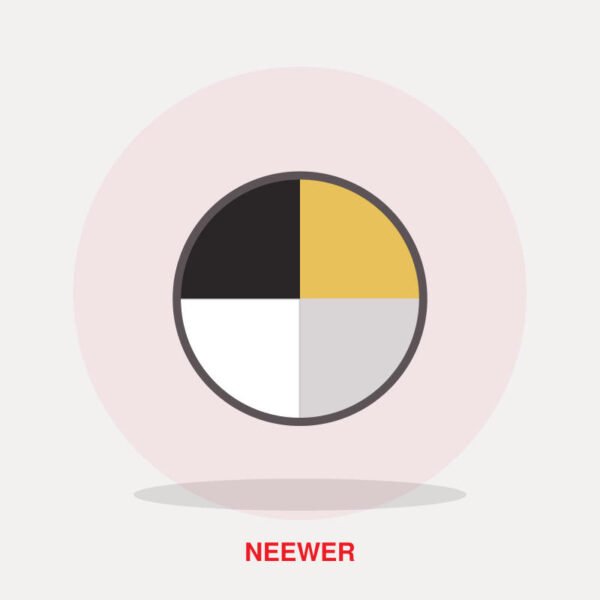 Neewer 60 x 90cm 5-in-1 Reflector with Holder