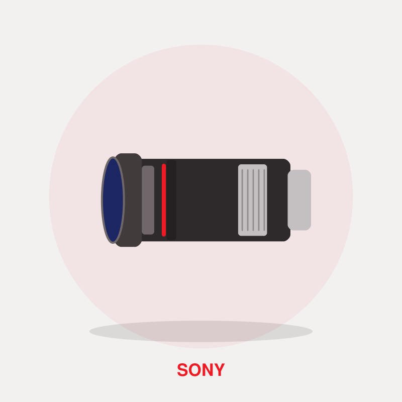 Sony E 18-135mm f/3.5-5.6 OSS Lens