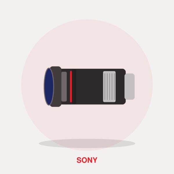 Sony E PZ 16-50mm f/3.5-5.6 OSS Lens