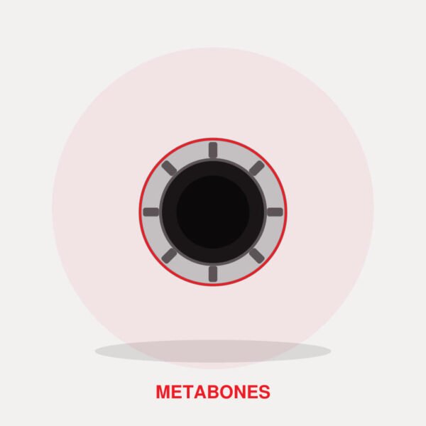 Metabones Canon EF to Sony E Mount T Smart Adapter V