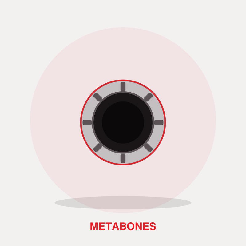 Metabones Canon EF to Sony E Mount T Smart Adapter V